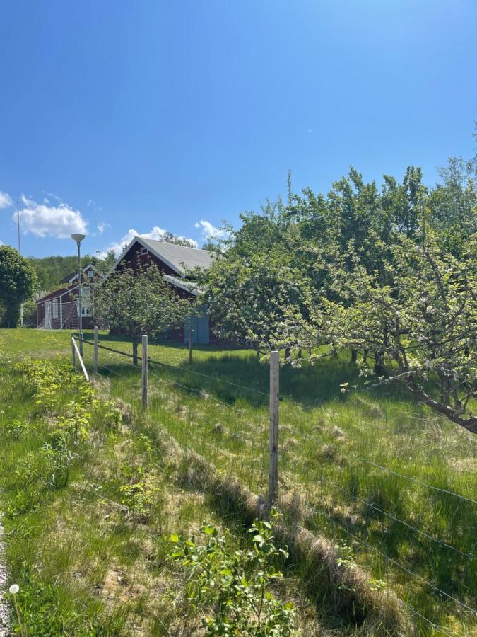 Lyckan - Minihus I Lantlig Miljoe Ульрисехамн Экстерьер фото